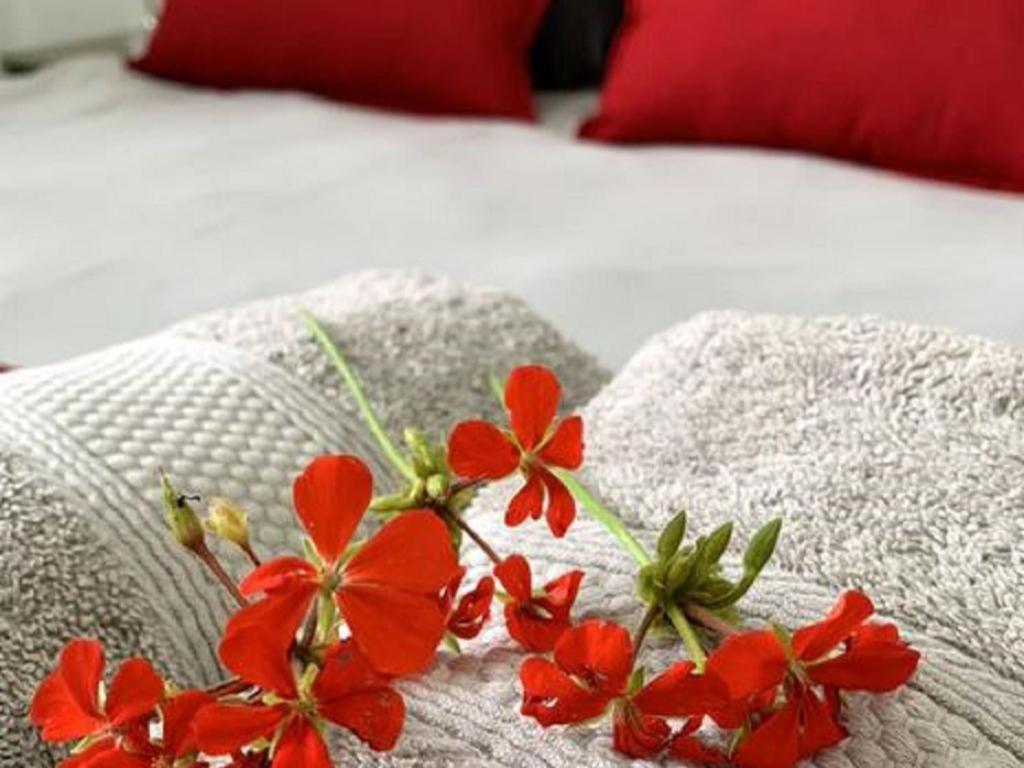 Stay Harties Accommodation Hartbeespoort Esterno foto